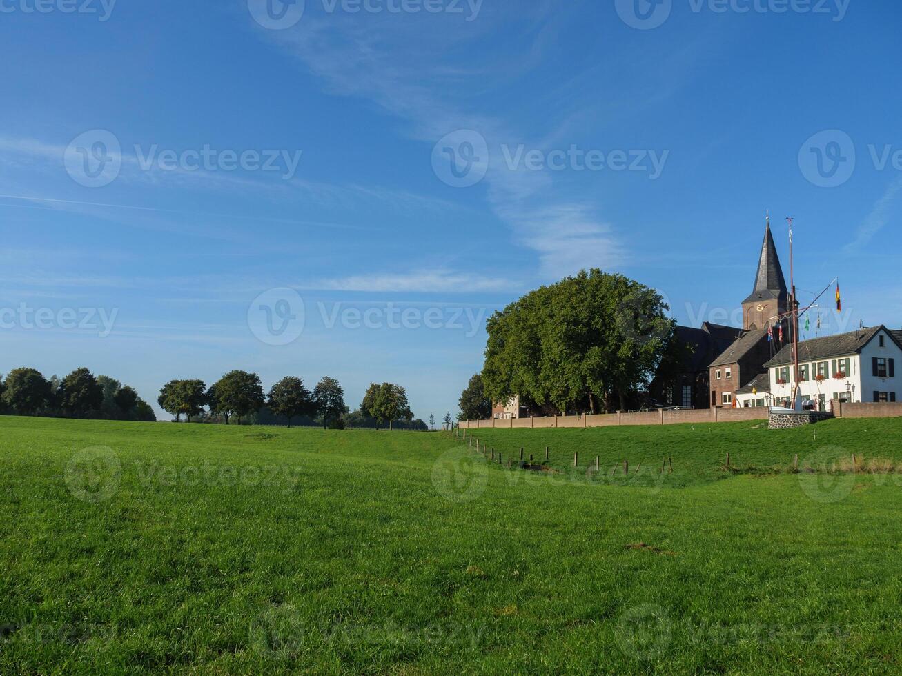 A large field with grass at the rhine photo