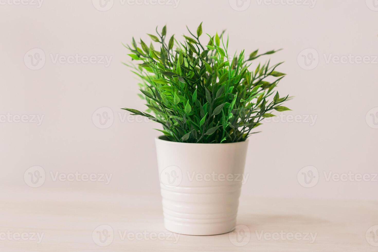 Artificial plant on empty white wall background place for your text - interior decor concept photo