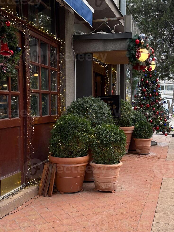 Decorated Christmas tree stands outdoors in front of a building. Christmas tree is adorned with vibrant red, blue, and golden ornaments, complemented by warm glowing lights creating a festive and photo
