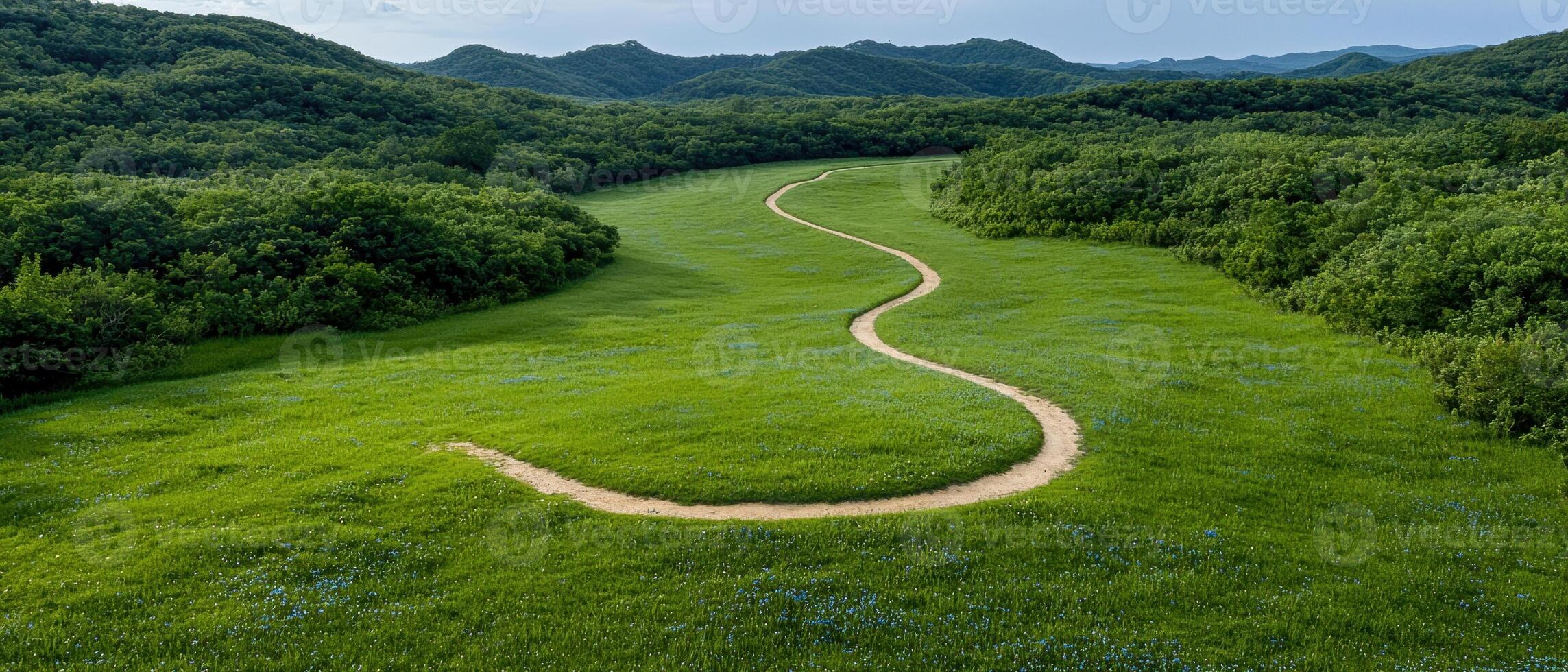 Serpentine path through a lush green meadow, aerial view photo