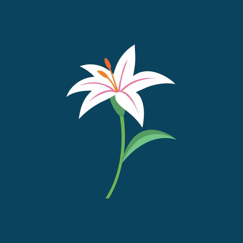 Explore Beautiful Zephyranthes Flower Canvas Designs vector