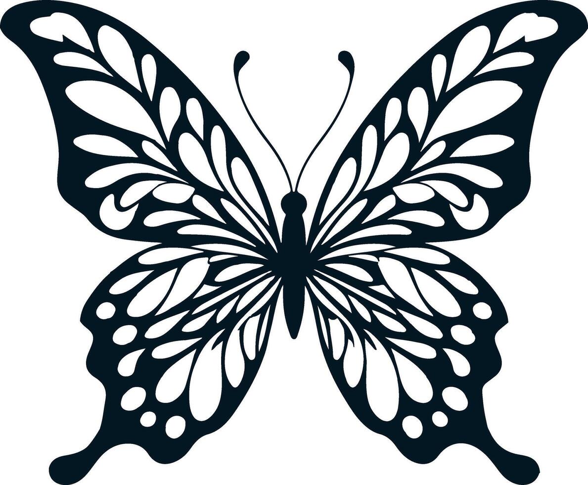 Explore Collection of Butterfly Art Graphics vector