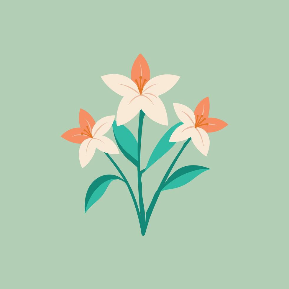 Stunning Zephyranthes Flower Canvas Vectors Art Designs
