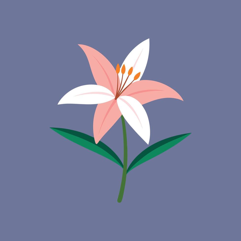 Creative Zephyranthes Flower Canvas Art for Designers vector