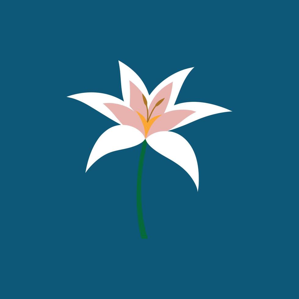 Beautiful Canvas Art with Zephyranthes Flower Vectors