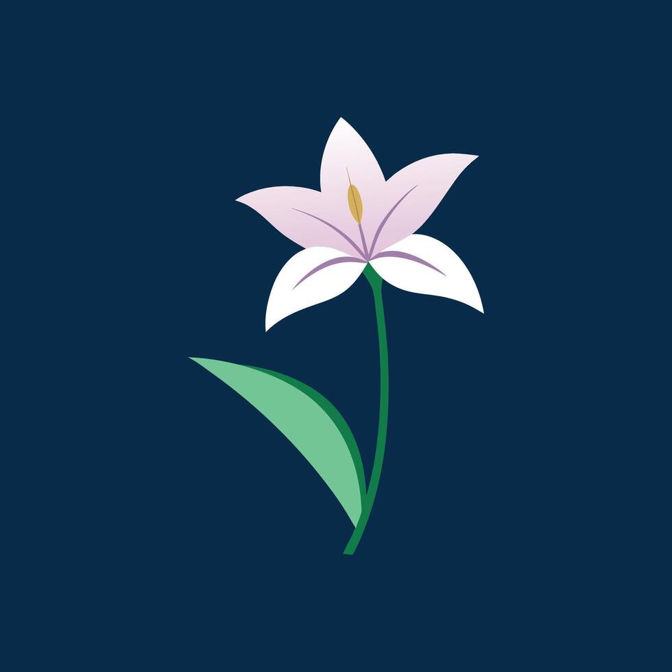 Trending Zephyranthes Flower Canvas Designs vector