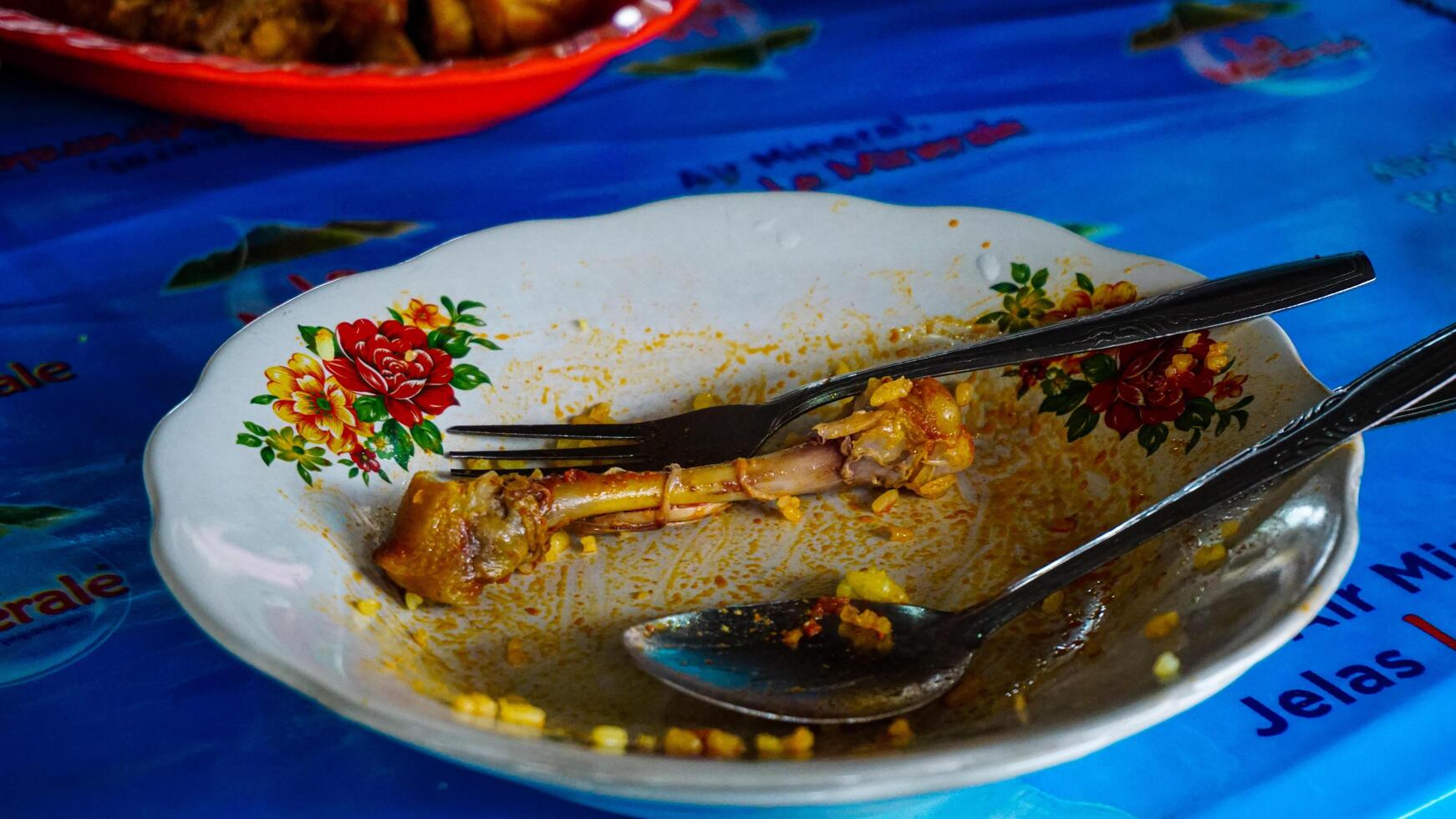 Empty Plate with Chicken Bones and Leftovers photo