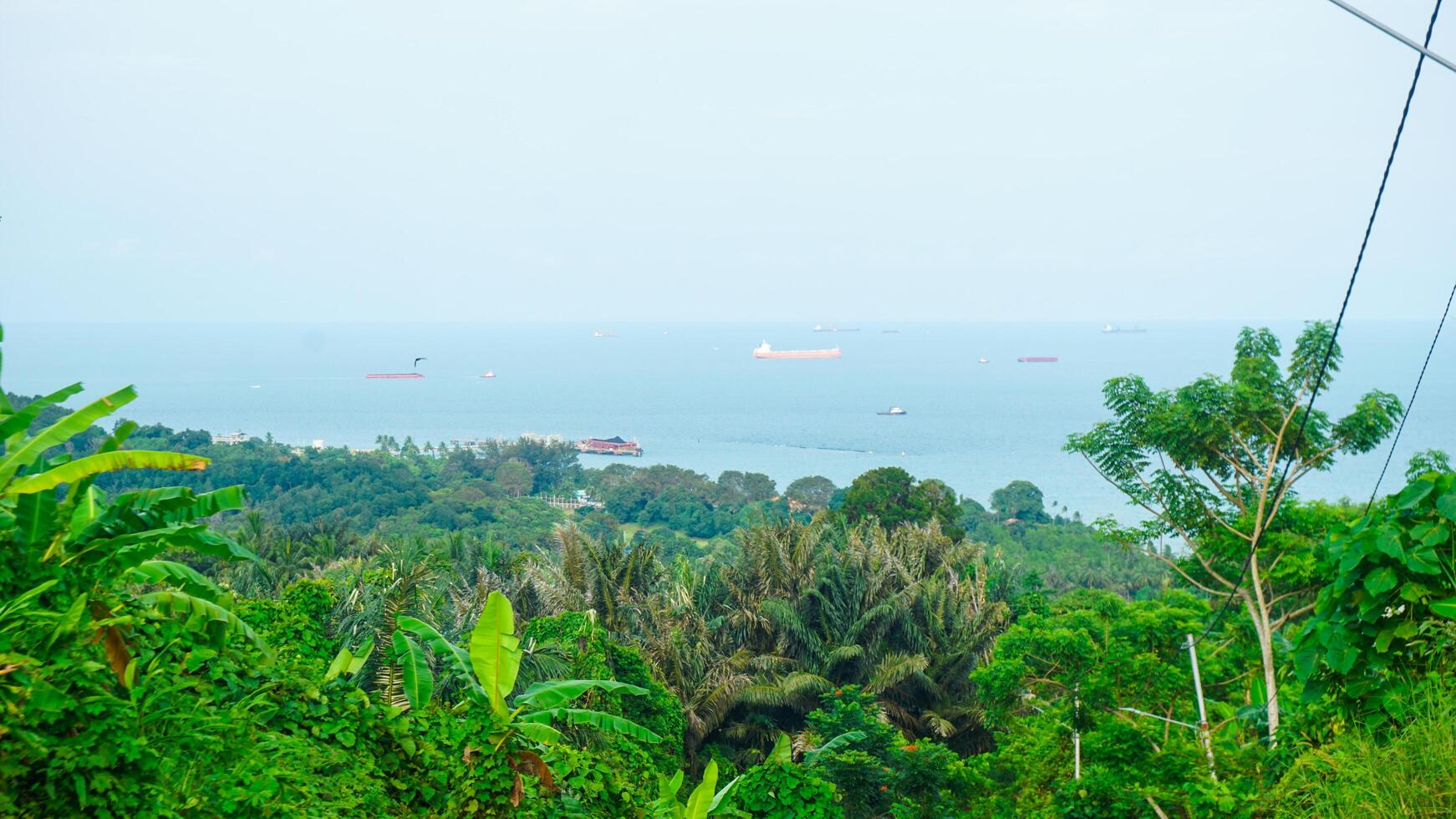Scenic Coastal View with Ships and Lush Greenery photo