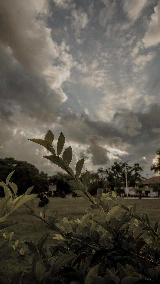 Tranquil Nature with Dramatic Cloudy Sky photo