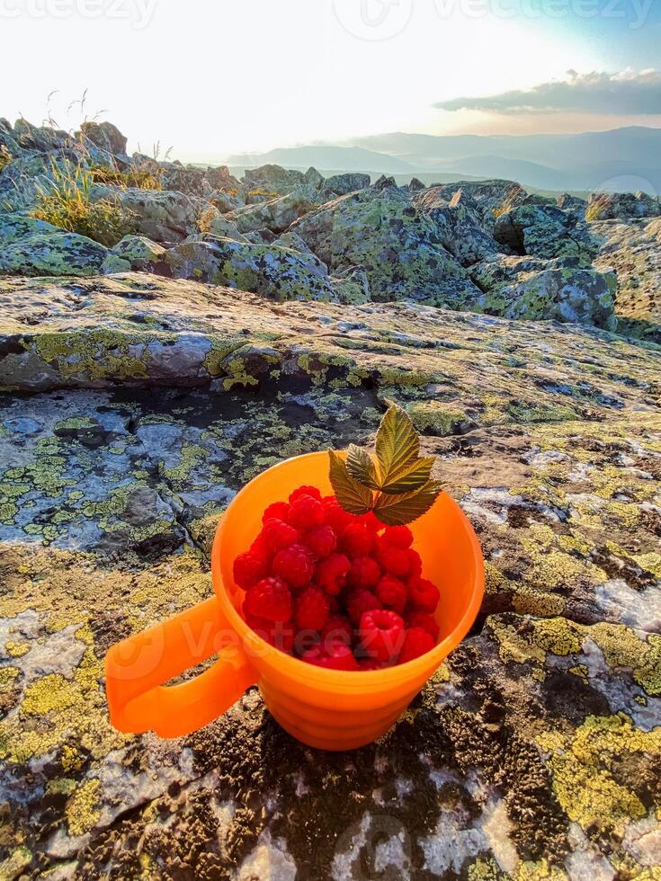 A beautifully arranged cup filled to the brim with fresh, juicy raspberries is set against a rugged, textured rocky surface, creating a stunning visual contrast and appeal photo