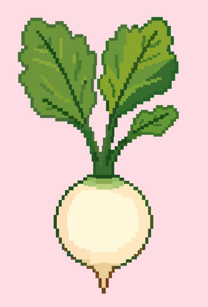 White radish. pixel illustration on pastel pink background vector