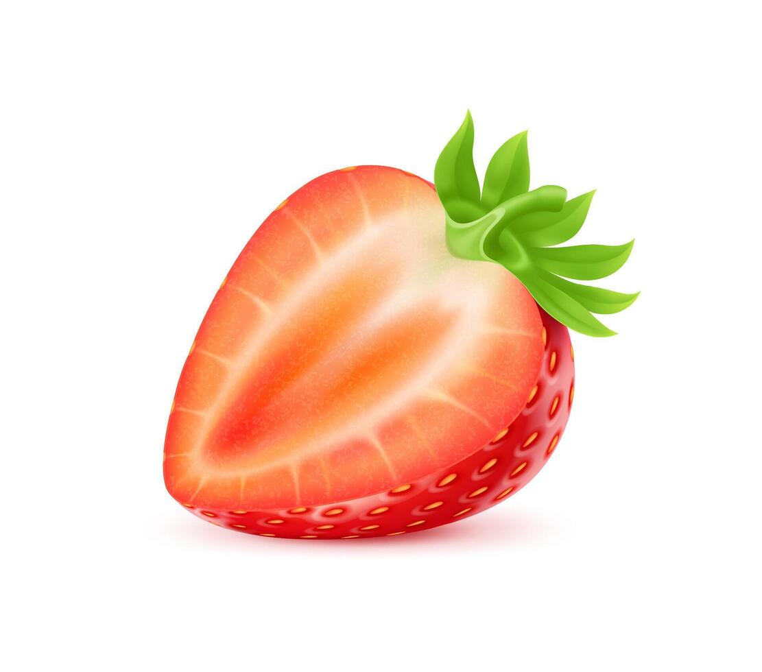 3D realistic raw ripe strawberry fruit ripe half vector