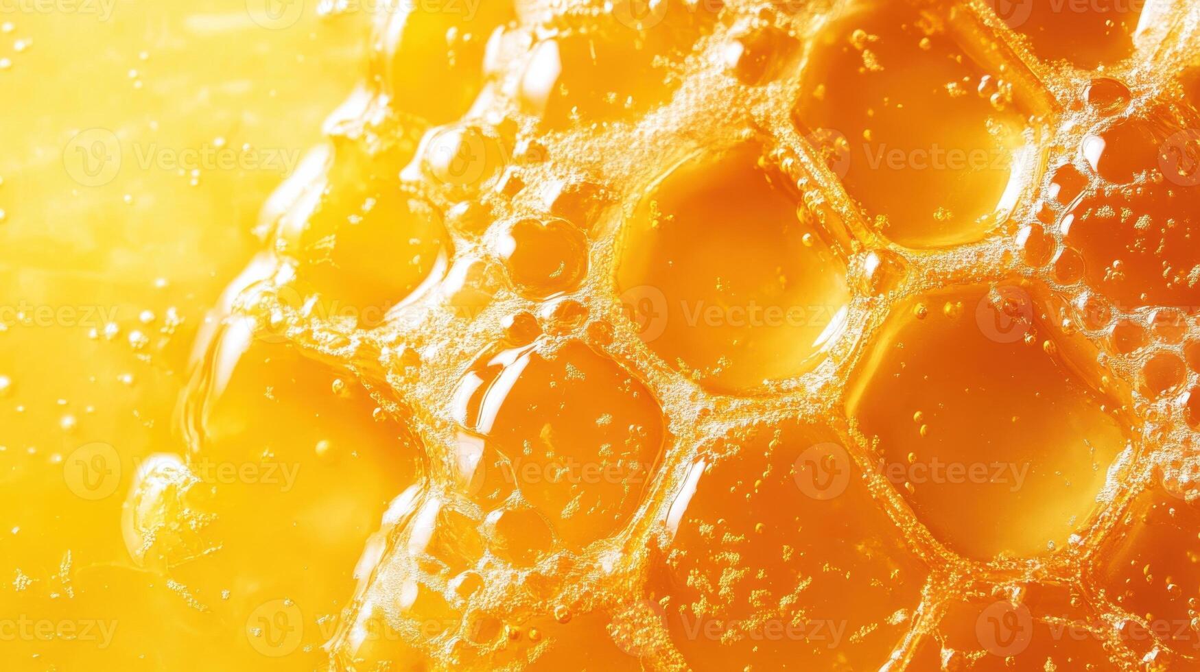 Honey on Vibrant Solid Background photo