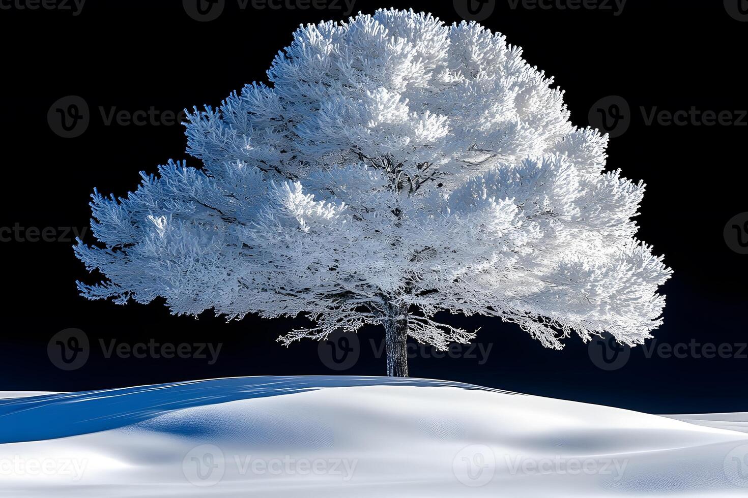 Serene Winter Tree in Snowy Landscape Against a Deep Blue Sky photo
