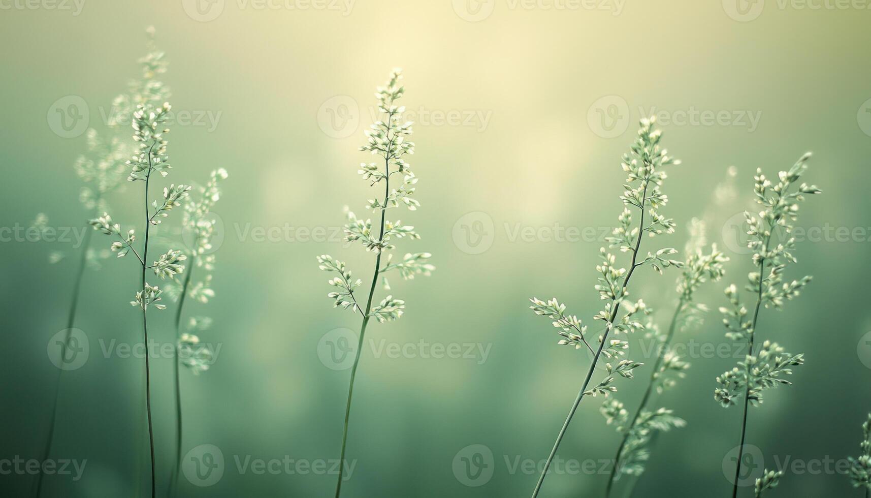 Soft green background with blurred effect creating minimalist desaturated scene feel calm serene photo