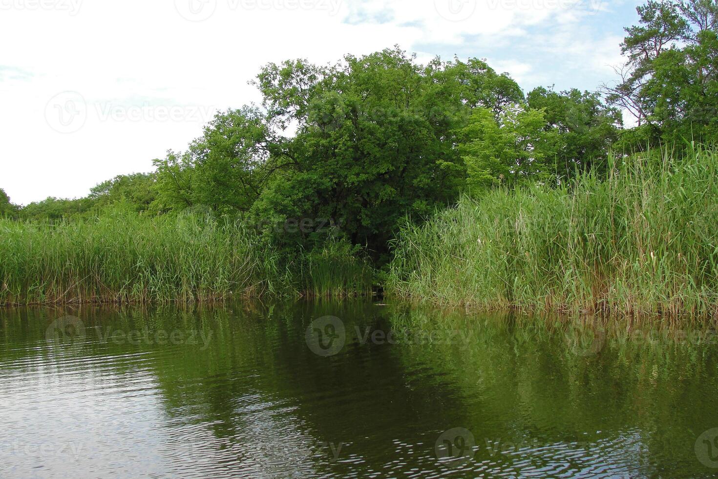 Serene lake view with lush green vegetation. Perfect for a relaxing backdrop. photo