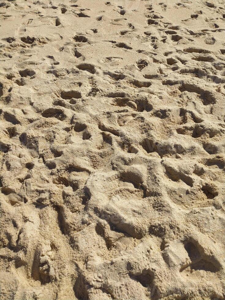 Fine golden sand covering a beach sunny day with clear skies, creating a serene and tranquil atmosphere for relaxation photo