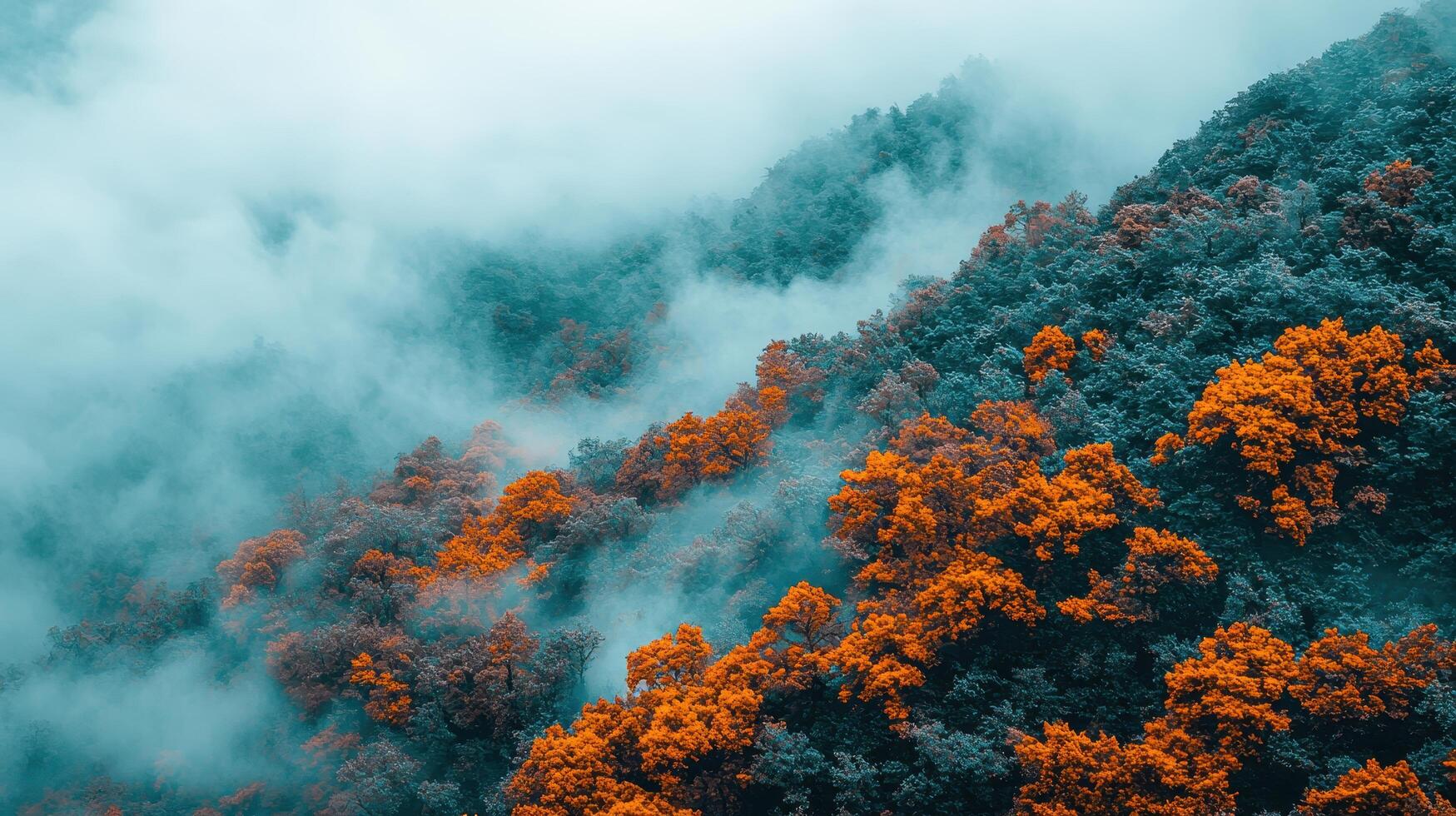 Misty Mountain Forest Landscape Autumn Colors and Foggy Peaks photo