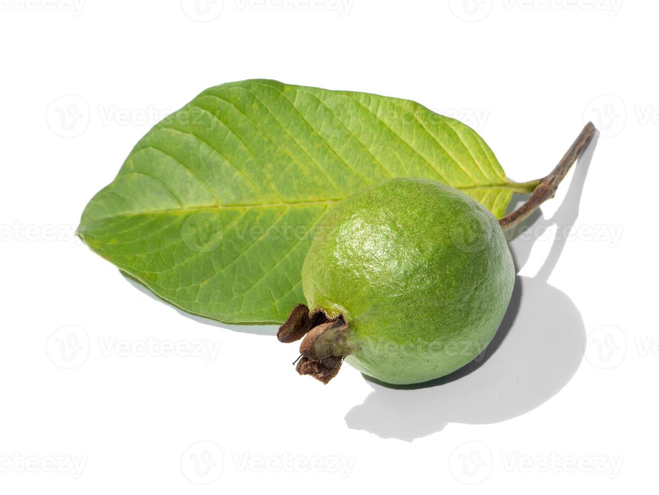 Guava and leaves with shadow on white background. photo