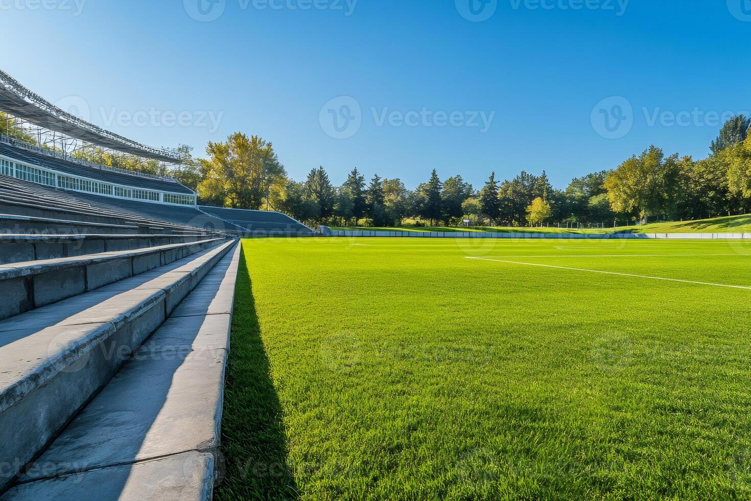 Empty stadium with green grass and concrete bleachers on sunny day photo