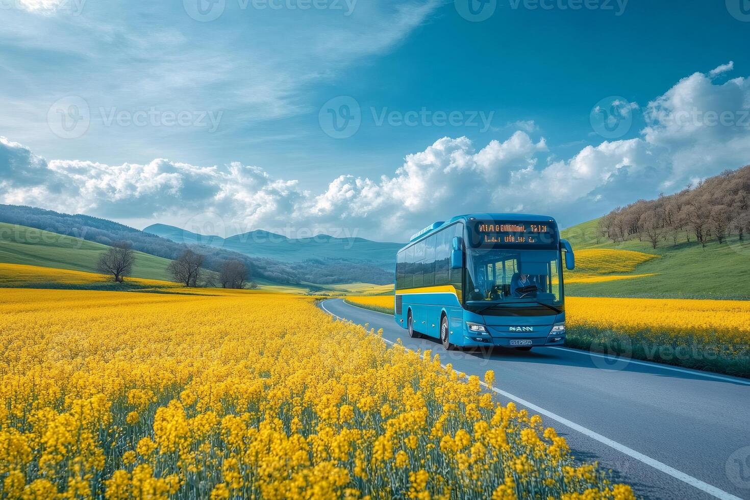 Modern blue coach traveling on scenic road through blooming rapeseed fields photo
