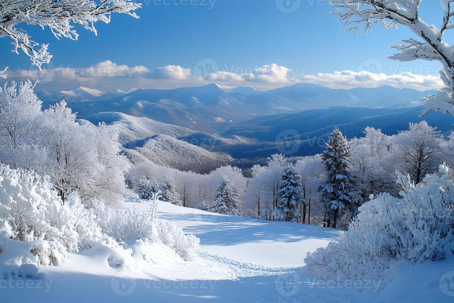 Snow covered trees and mountains creating stunning winter landscape photo