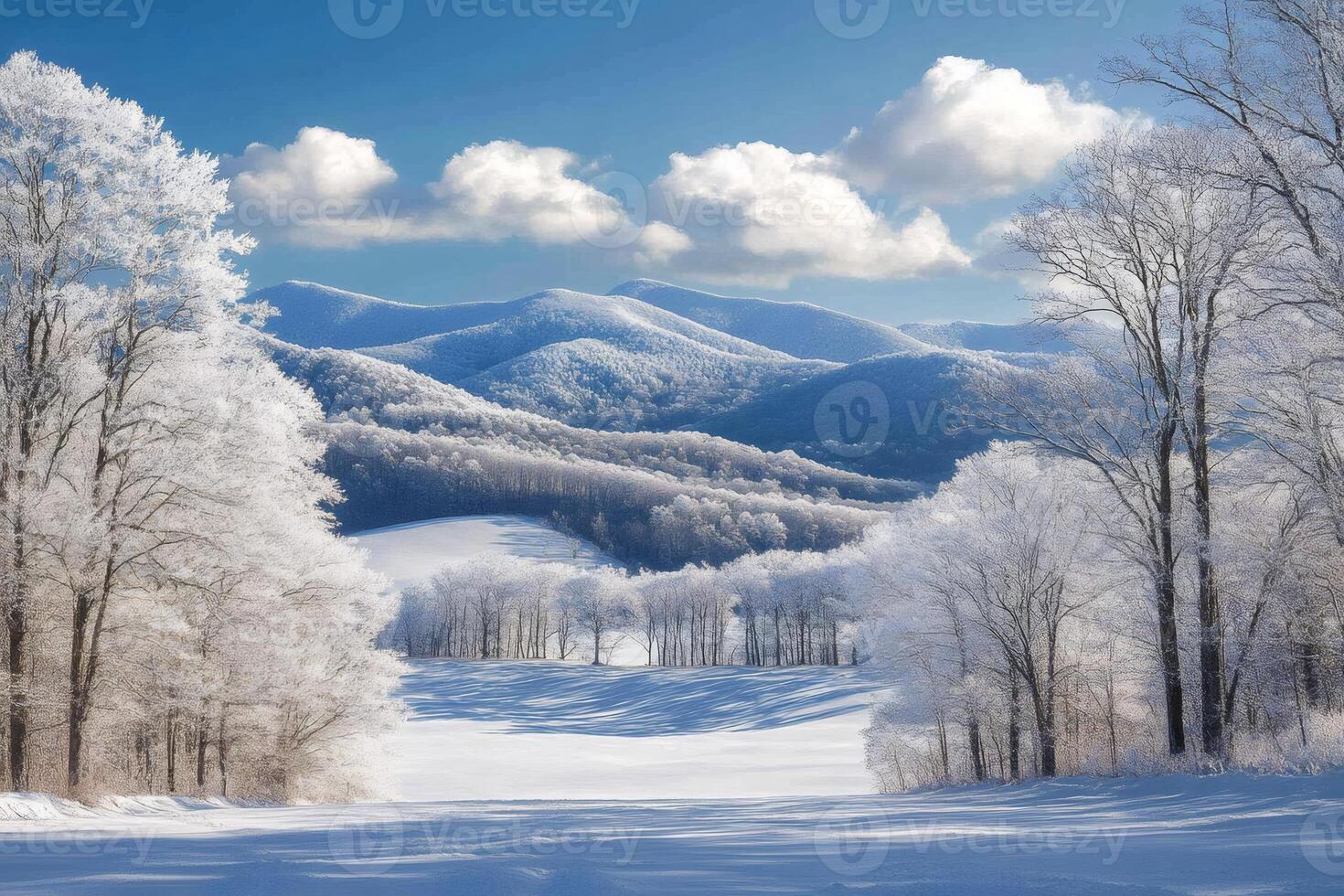 Snow covered trees framing rolling hills and mountains in winter photo