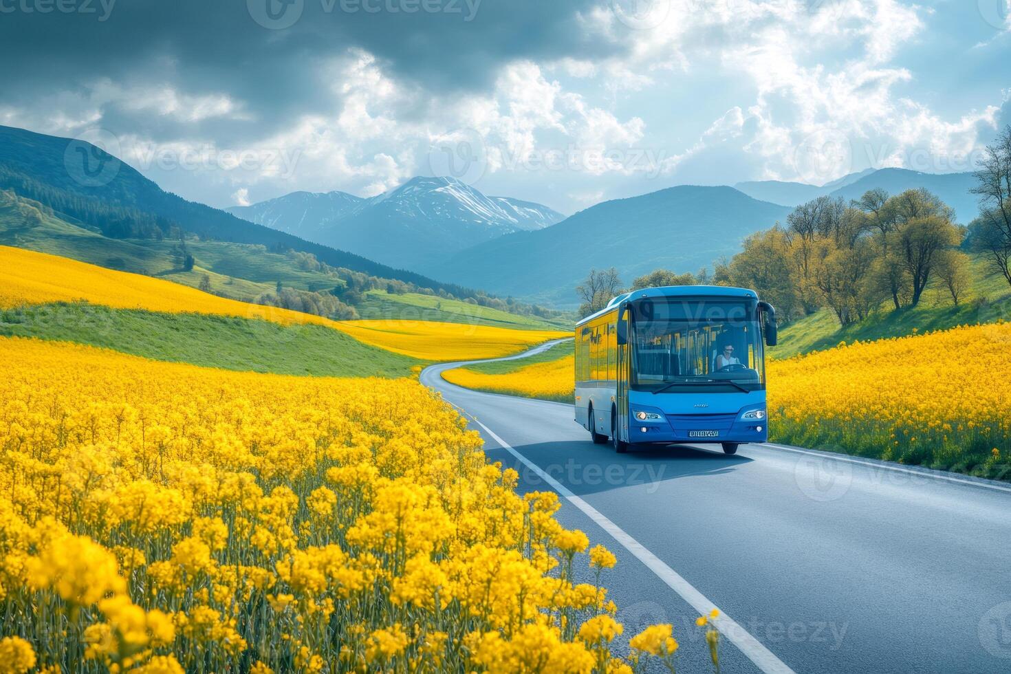 Blue bus traveling on scenic road through yellow rapeseed fields and mountains photo