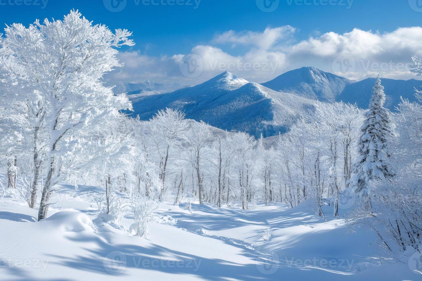 Snow covered trees and mountains creating stunning winter wonderland photo