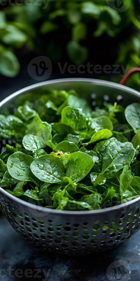 Fresh baby spinach leaves washed and ready in colander for healthy meal preparation photo