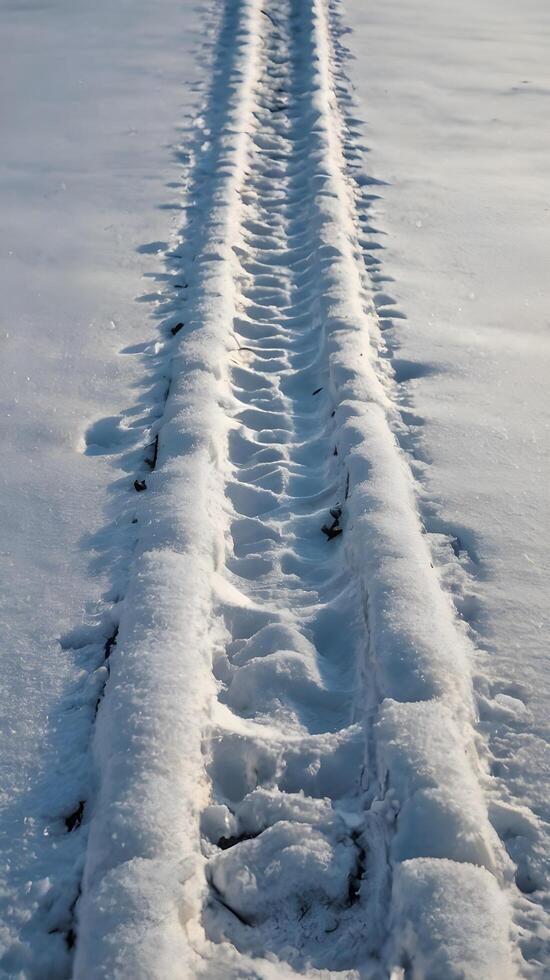 The serene vertical capture of tracks in untouched snow provides ample space for adding overlays or creative designs. photo
