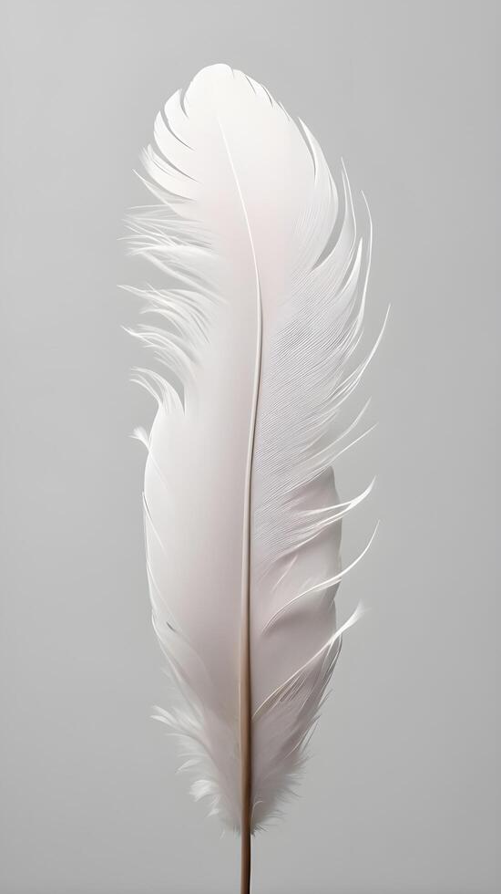 A tranquil vertical macro photo featuring the intricate patterns of feathers with a clean background for text.