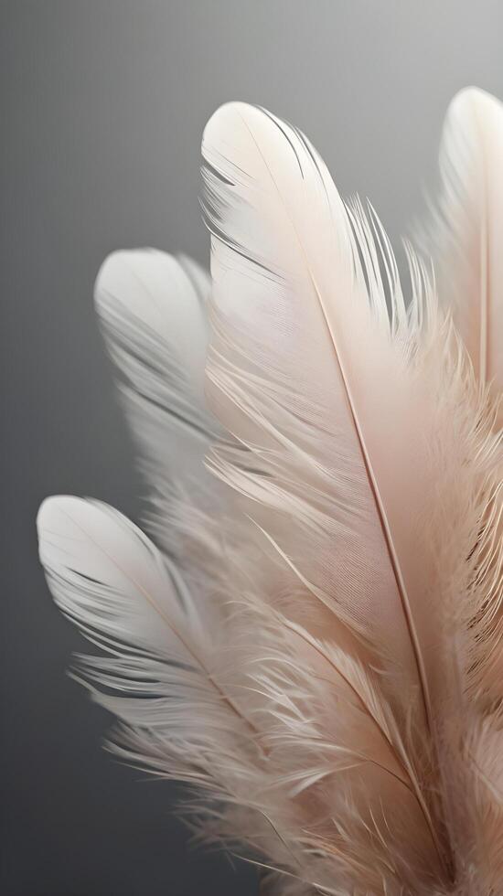 A close-up vertical view of soft feathers with intricate textures, framed by an uncluttered background for text placement. photo