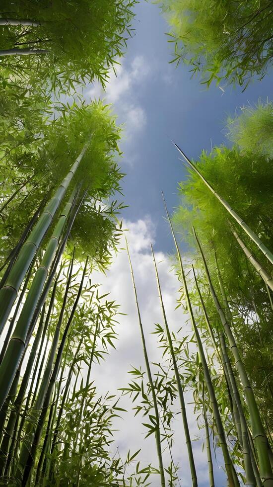 A serene vertical shot of a bamboo grove with thin stalks rising towards the sky, subtle green tones, and clear space for text. photo