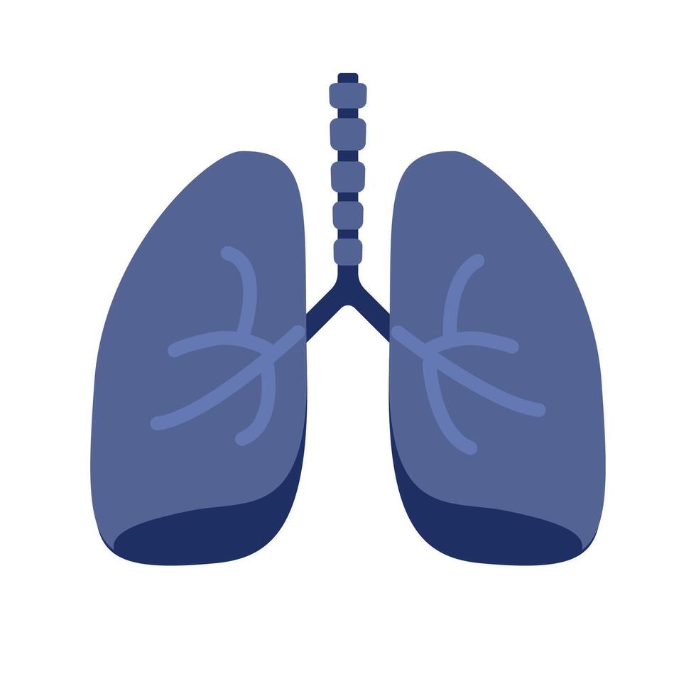 Lung or human lungs icon with bronchial system flat cartoon illustration isolated on white background vector
