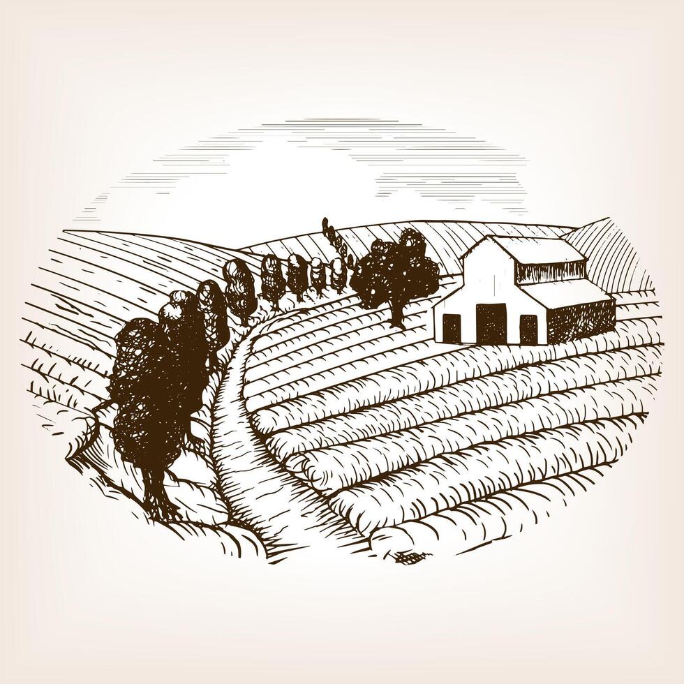 Farm landscape sketch style illustration. Old engraving imitation. Hand drawn sketch imitation. Country Landscape vector