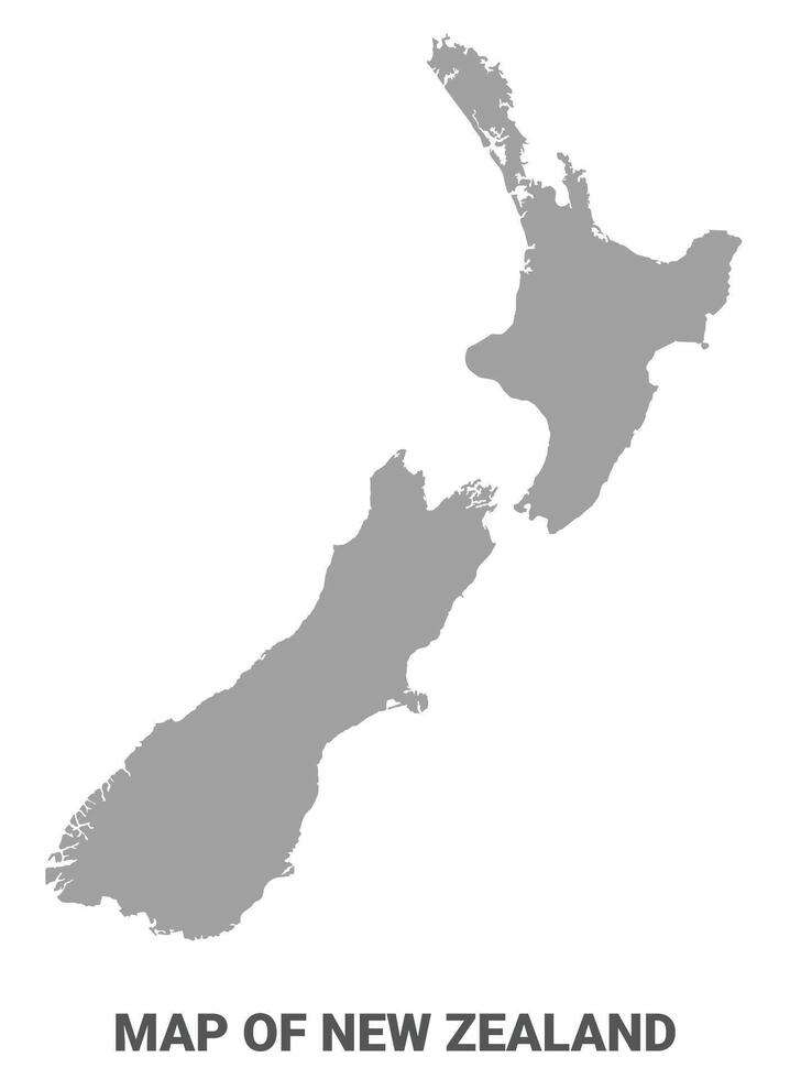 Simple flat New Zealand map Grey vector