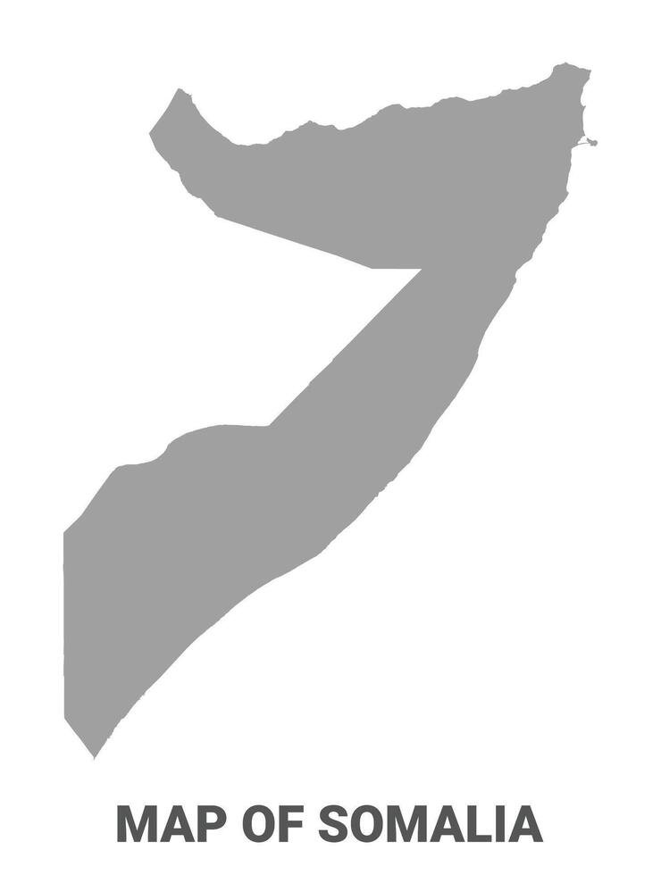 Simple flat Somalia map Grey vector