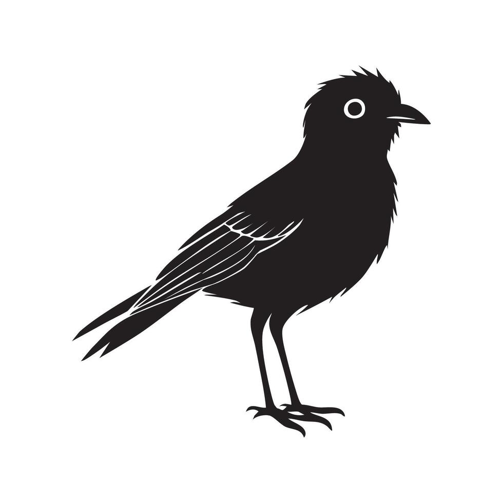 A Black Bird in Profile vector