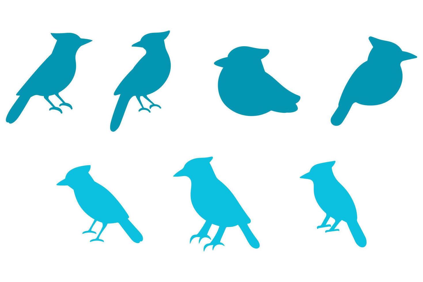 Simple Blue Jay Bird Illustration vector