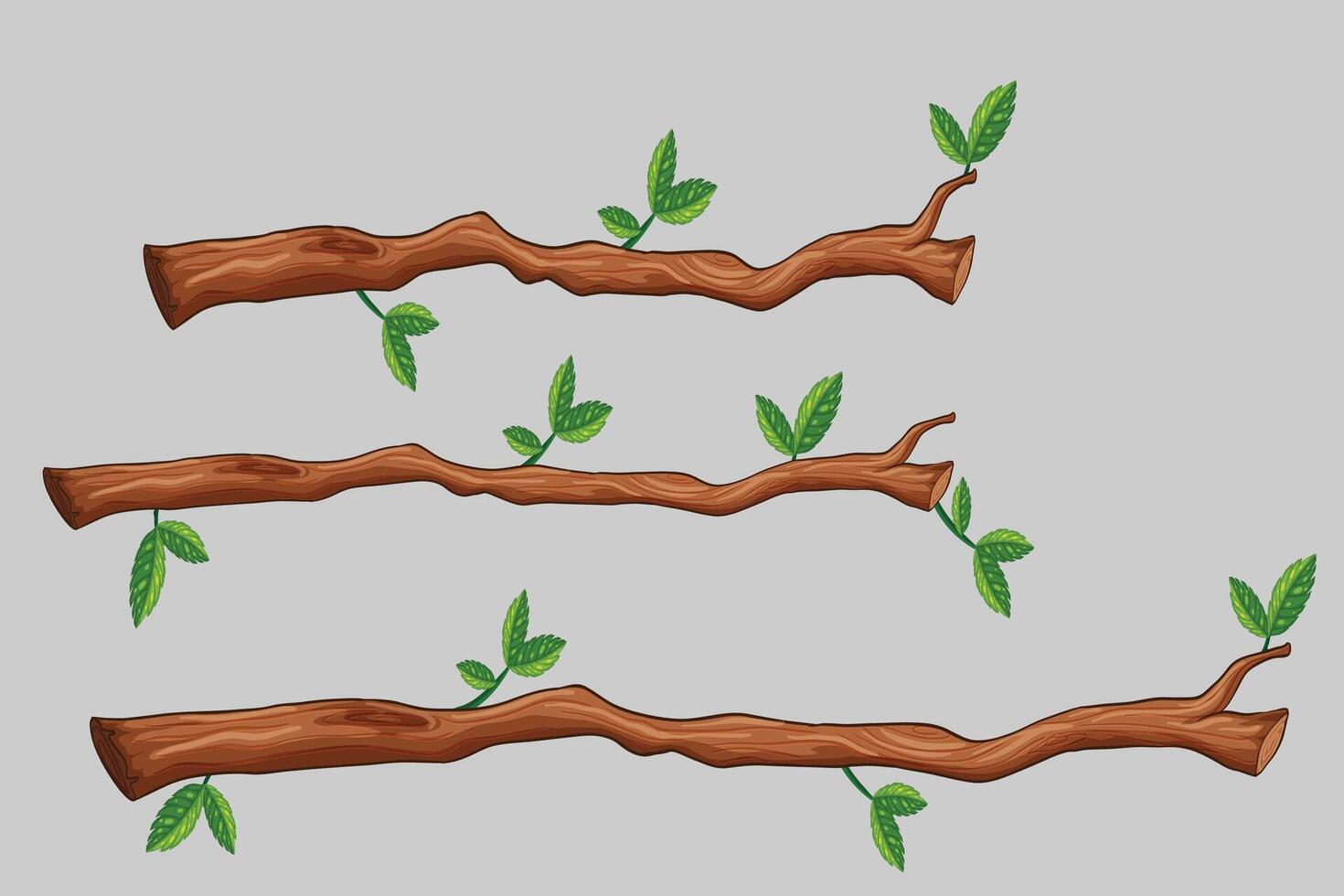 New Set tree branches. Illustration of a tree branch vector
