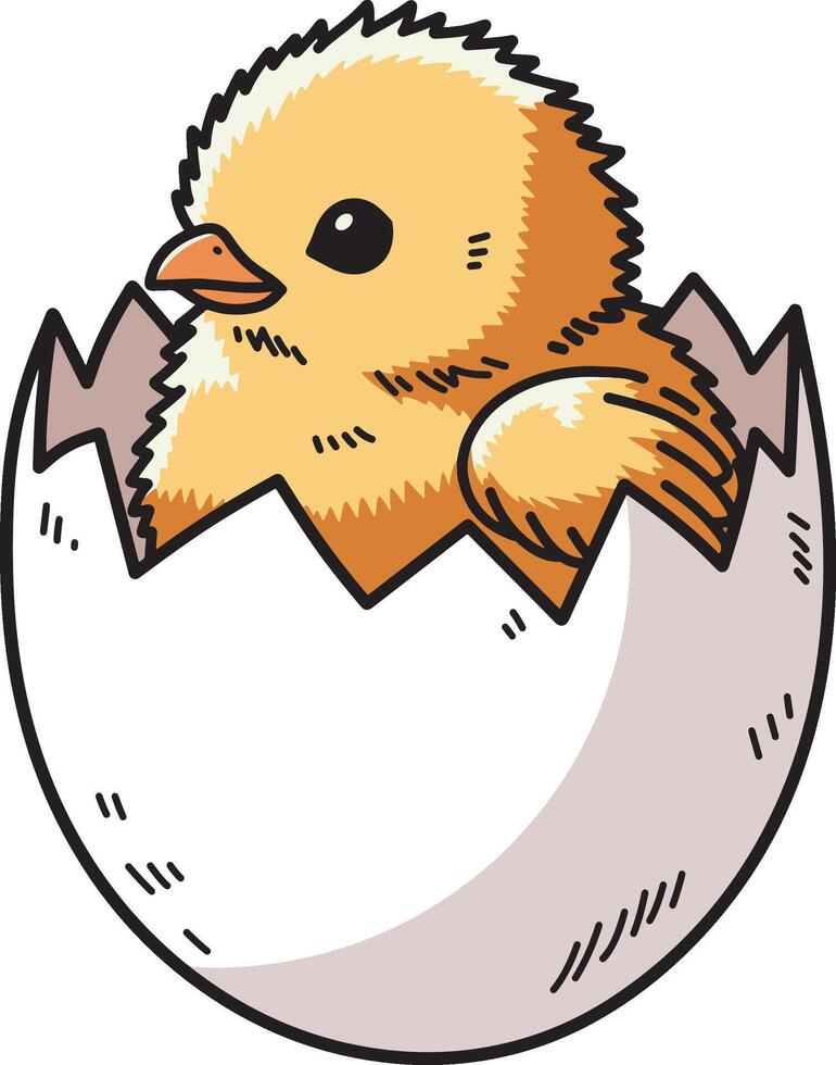 Cartoon chick on the egg shell design illustration vector