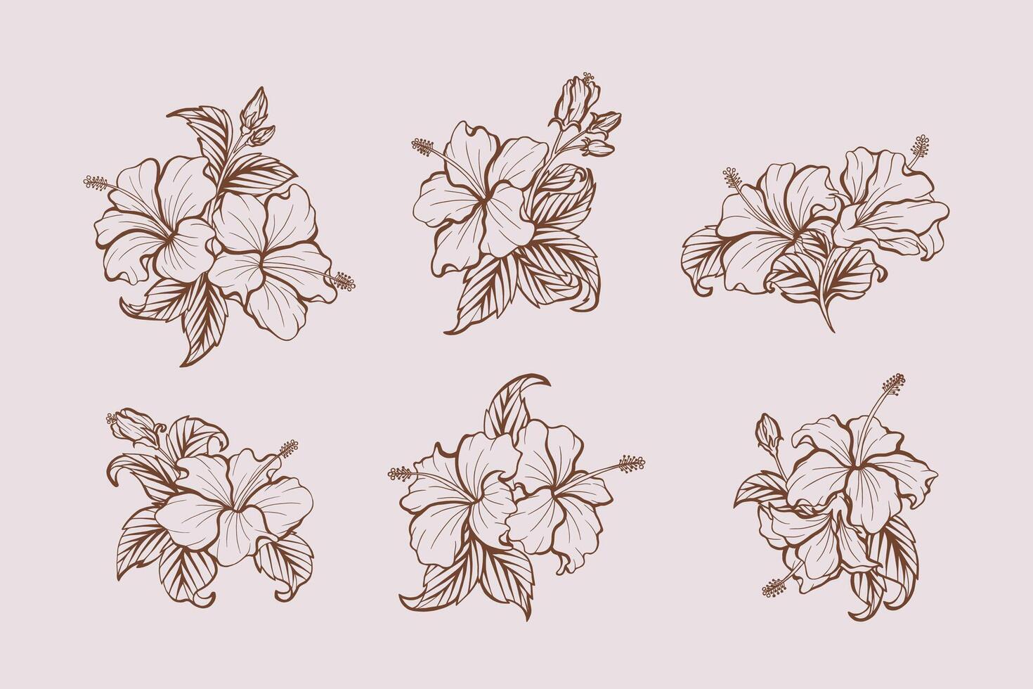Set of Hibiscus Line Art Ornaments vector