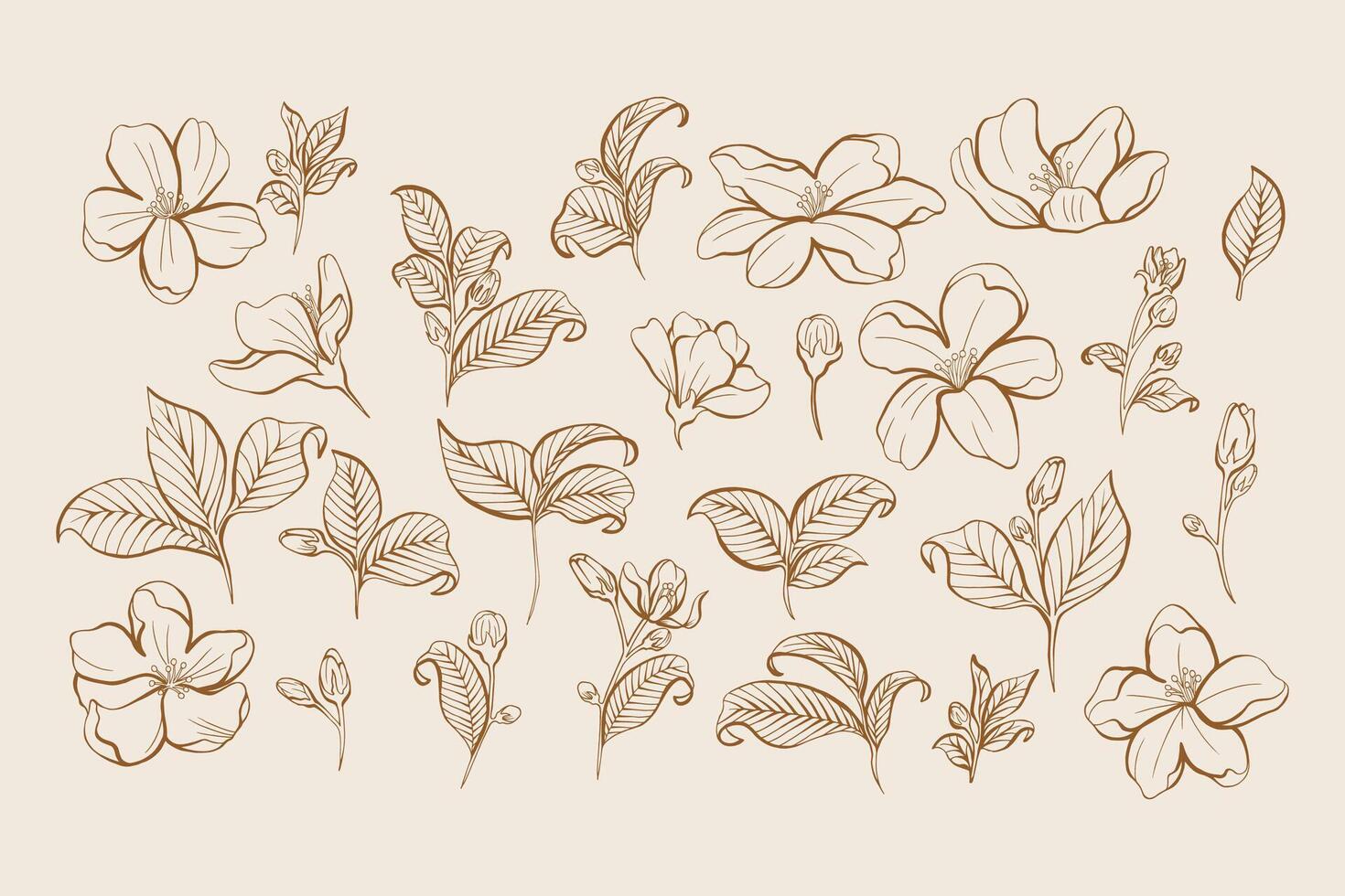 Set of Jasmine Line Art Elements vector