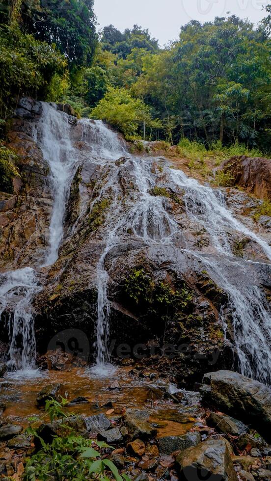 Serene Waterfall Cascading Over Rocks in Lush Green Forest photo