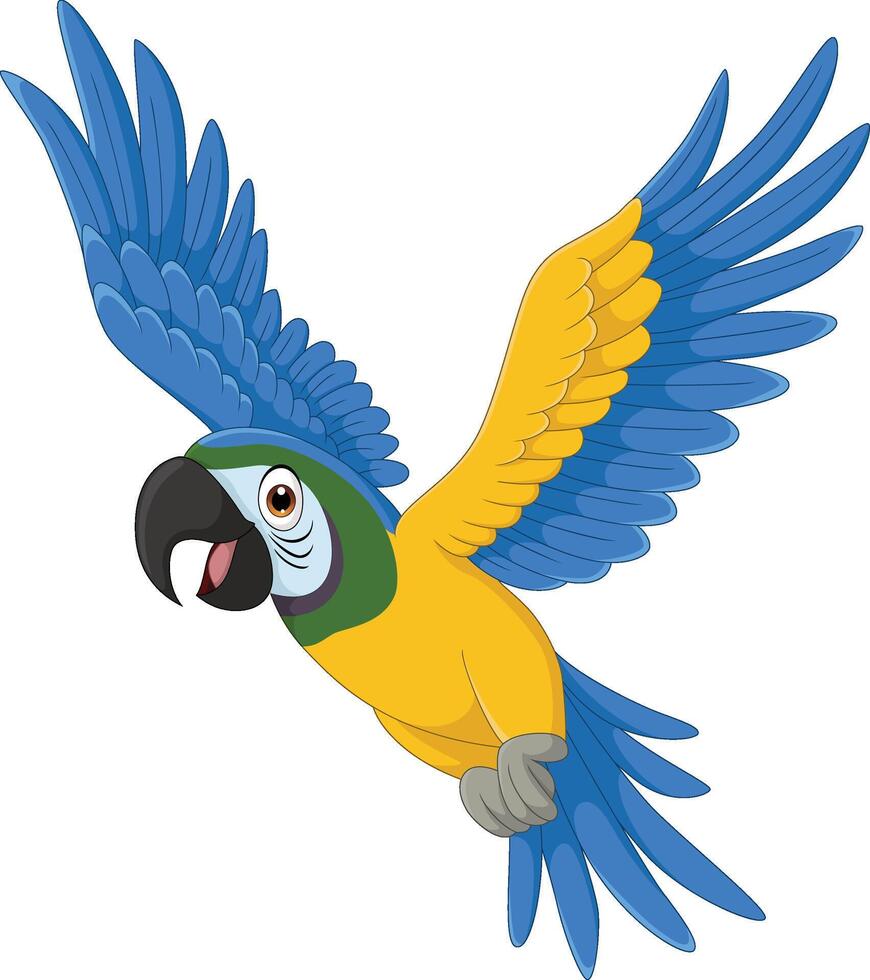 Illustration of cartoon parrot bird flying vector