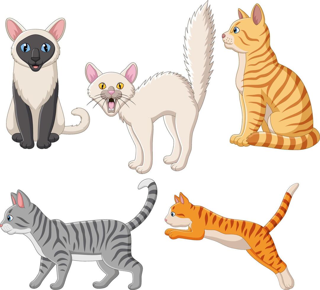 illustration of cartoon cat collection set vector
