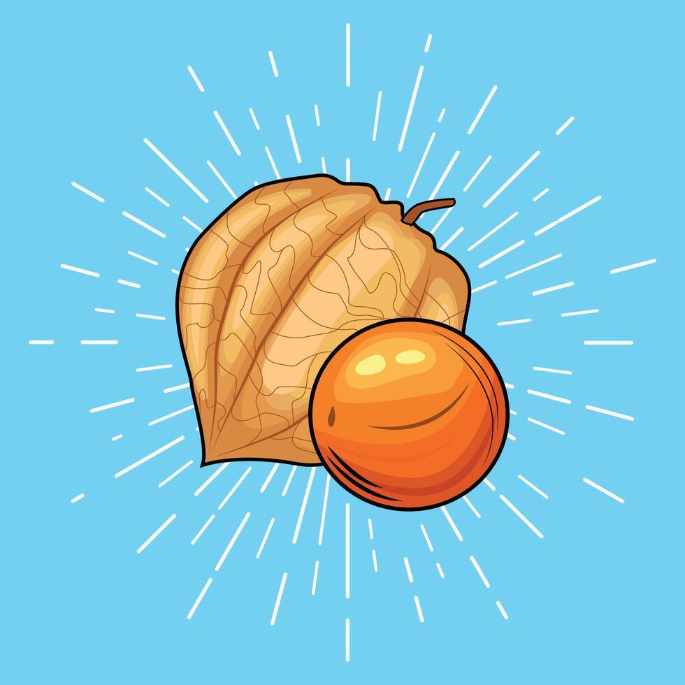 physalis with orange design and blue background vector
