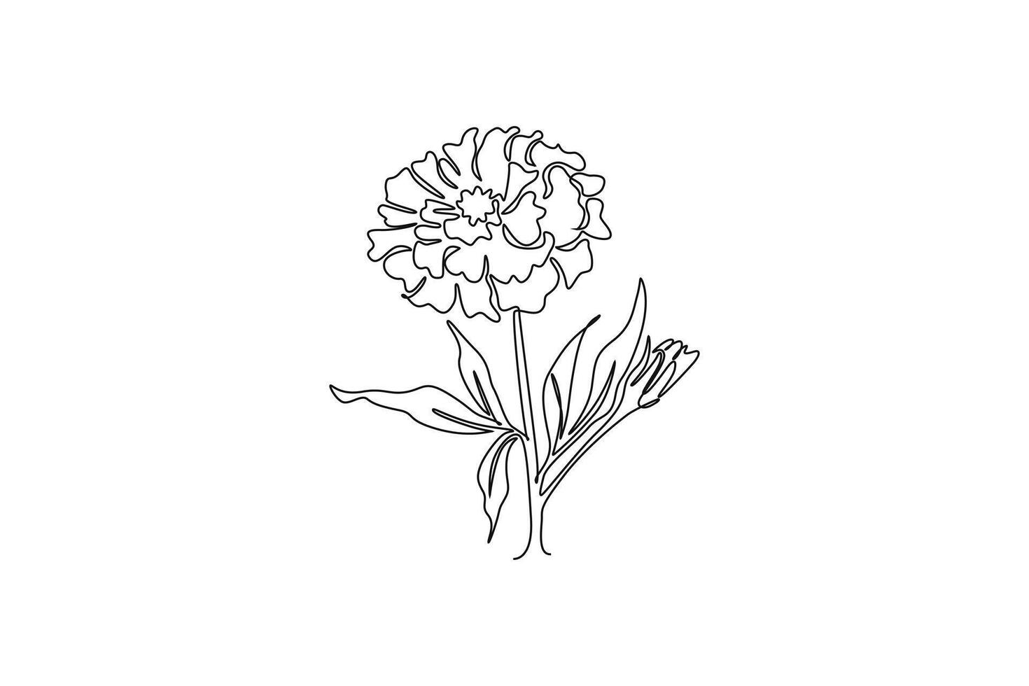 Single continuous line drawing beauty fresh marigold for home wall decor poster art. Printable decorative calendula flower concept park icon. Dynamic one line draw graphic design illustration vector