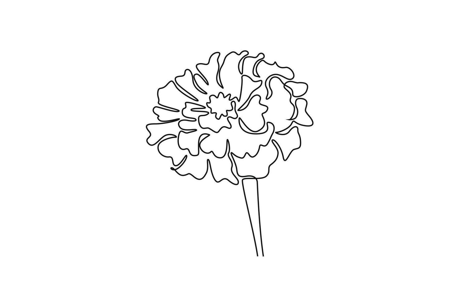 Single continuous line drawing beauty fresh calendula for home wall decor poster. Printable decorative marigold flower greeting card ornament. Dynamic one line draw graphic design illustration vector